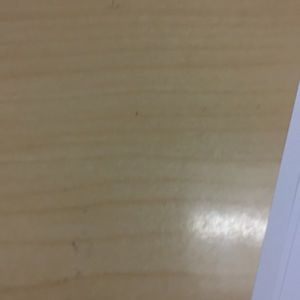 Meet your Posher, Joey